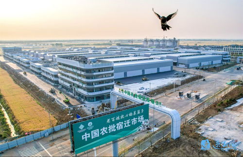 產(chǎn)業(yè)旺、村和美、同致富 宿遷集成推進(jìn)鄉(xiāng)村全面振興的建筑工程實(shí)踐